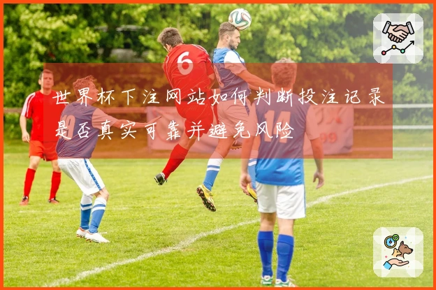 世界杯下注网站如何判断投注记录是否真实可靠并避免风险