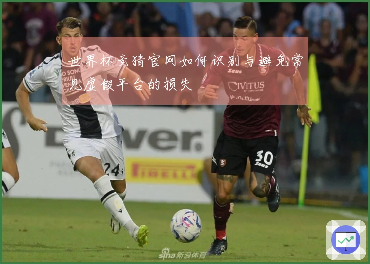 世界杯竞猜官网如何识别与避免常见虚假平台的损失