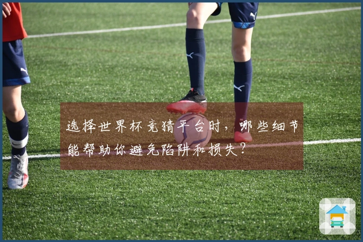 选择世界杯竞猜平台时,哪些细节能帮助你避免陷阱和损失?