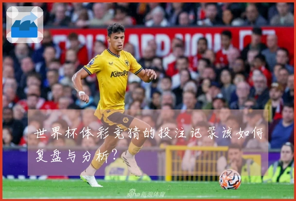 世界杯体彩竞猜的投注记录该如何复盘与分析?