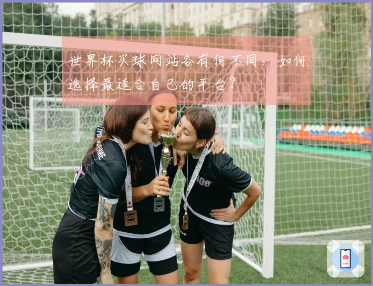 世界杯买球网站各有何不同,如何选择最适合自己的平台?