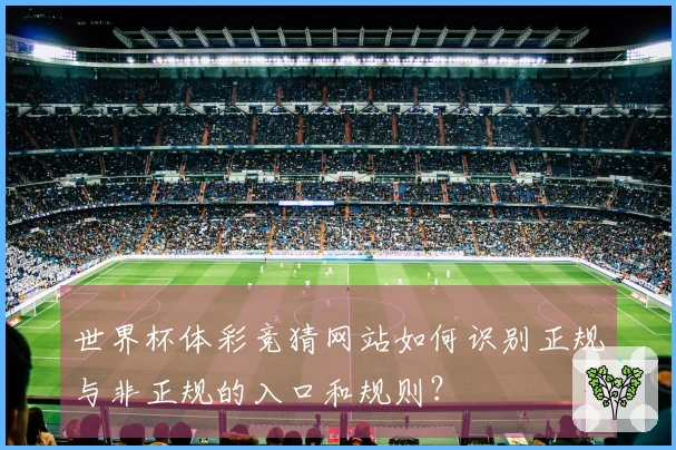 世界杯体彩竞猜网站如何识别正规与非正规的入口和规则？
