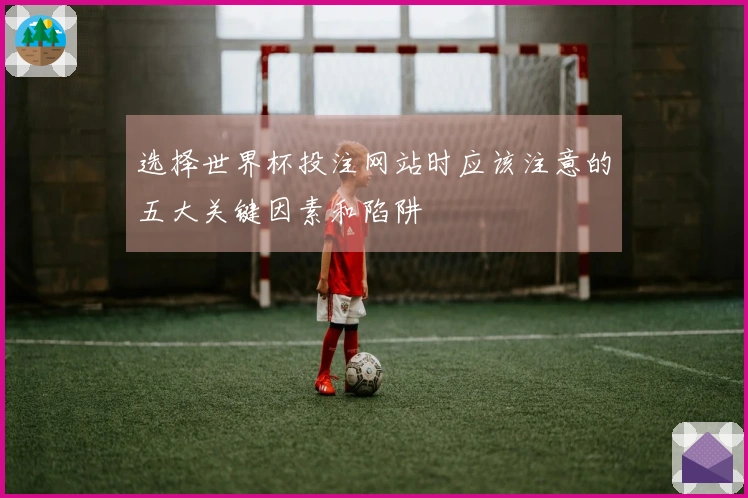 选择世界杯投注网站时应该注意的五大关键因素和陷阱