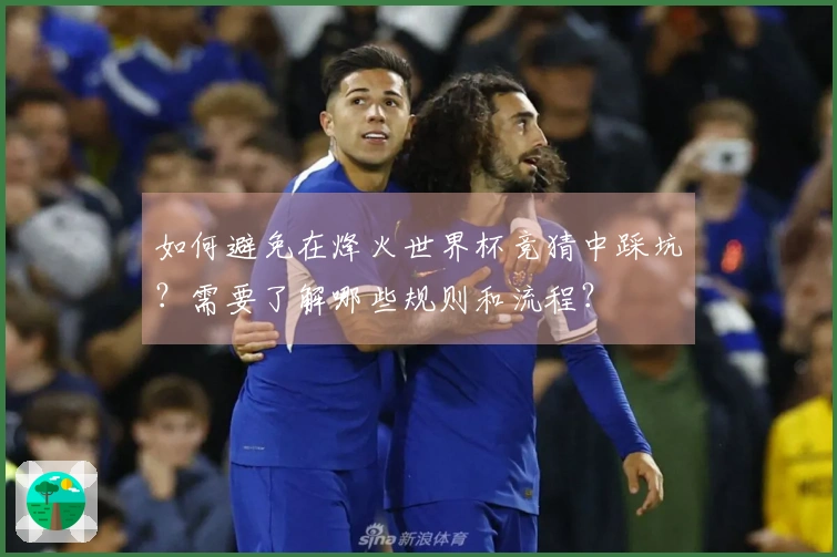 如何避免在烽火世界杯竞猜中踩坑？需要了解哪些规则和流程？