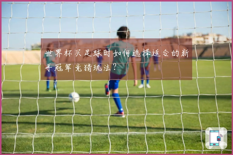 世界杯买足球时如何选择适合的新手冠军竞猜玩法？