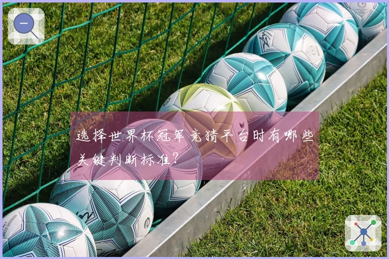 选择世界杯冠军竞猜平台时有哪些关键判断标准？