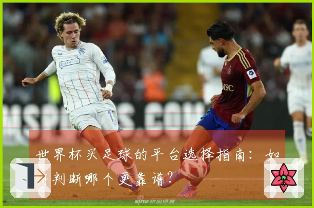 世界杯买足球的平台选择指南：如何判断哪个更靠谱？