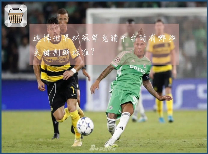 选择世界杯冠军竞猜平台时有哪些关键判断标准？