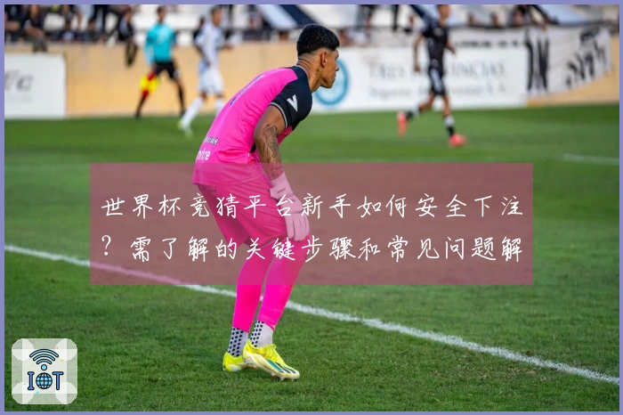 世界杯竞猜平台新手如何安全下注？需了解的关键步骤和常见问题解答