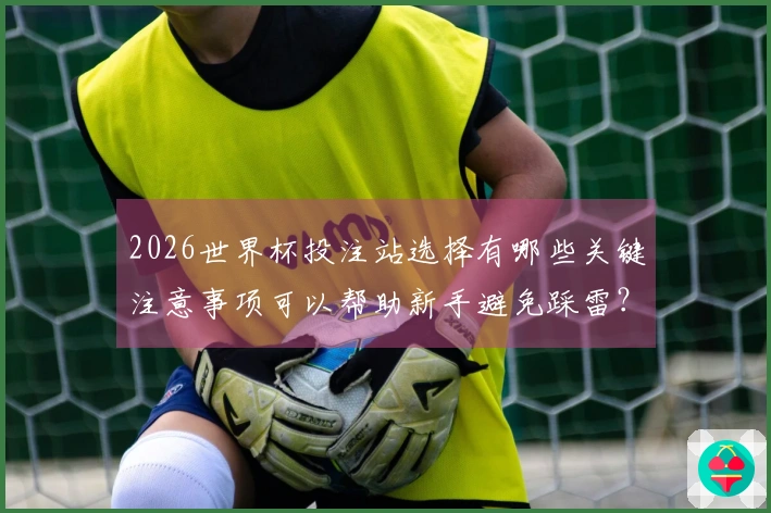 2026世界杯投注站选择有哪些关键注意事项可以帮助新手避免踩雷？
