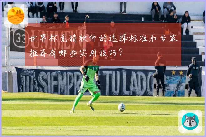 世界杯竞猜软件的选择标准和专家推荐有哪些实用技巧？
