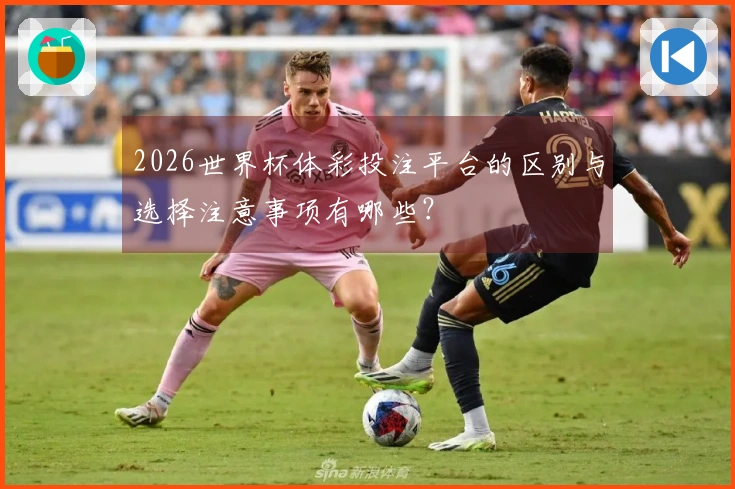 2026世界杯体彩投注平台的区别与选择注意事项有哪些？