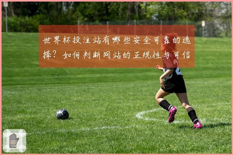 世界杯投注站有哪些安全可靠的选择？如何判断网站的正规性与可信度？