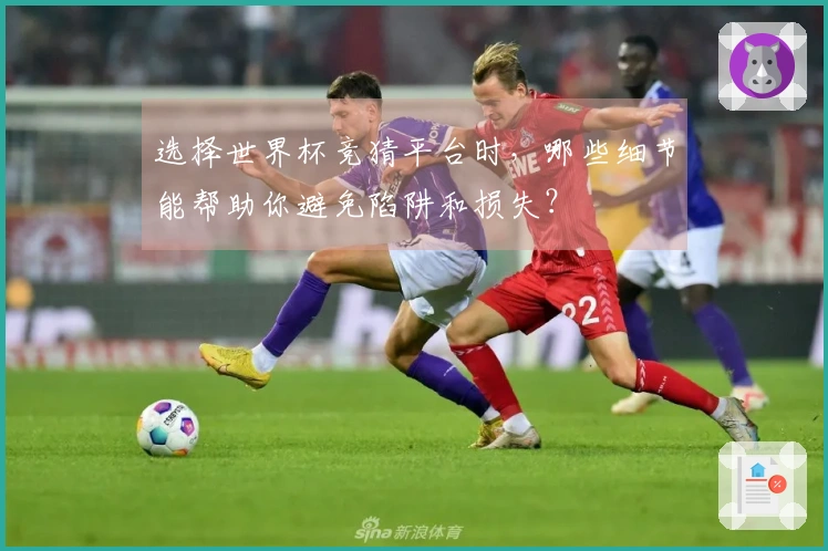 选择世界杯竞猜平台时，哪些细节能帮助你避免陷阱和损失？