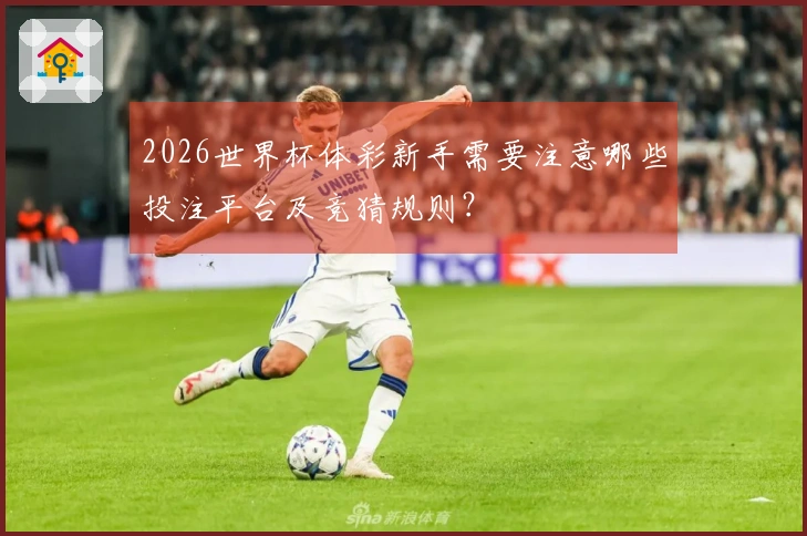 2026世界杯体彩新手需要注意哪些投注平台及竞猜规则？