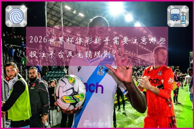 2026世界杯体彩新手需要注意哪些投注平台及竞猜规则？
