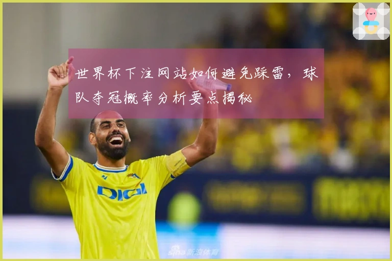 世界杯下注网站如何避免踩雷,球队夺冠概率分析要点揭秘