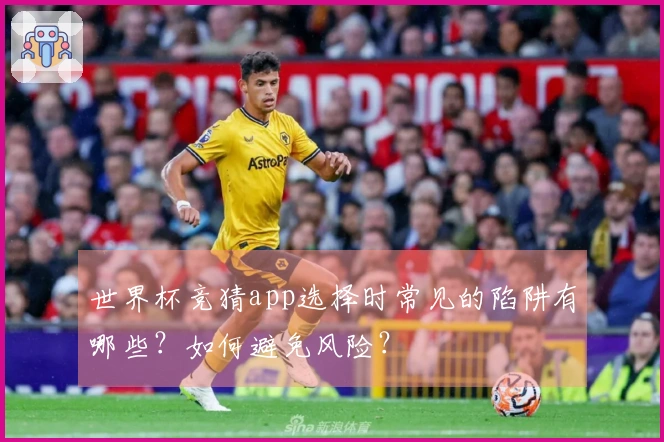 世界杯竞猜app选择时常见的陷阱有哪些？如何避免风险？
