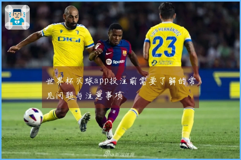 世界杯买球app投注前需要了解的常见问题与注意事项