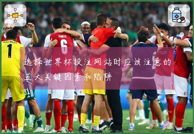 选择世界杯投注网站时应该注意的五大关键因素和陷阱