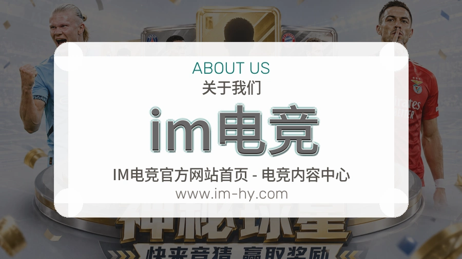 平台展示